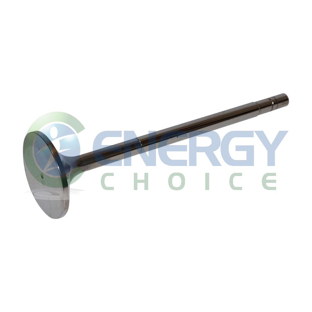 Exhaust Valve, Jenbacher, 334782